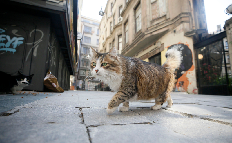 Sokağa çıkma kısıtlaması ikinci gününde Sultanahmet Meydanı