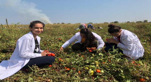 Salça yaparak hem para kazandılar hem pratik yaptılar