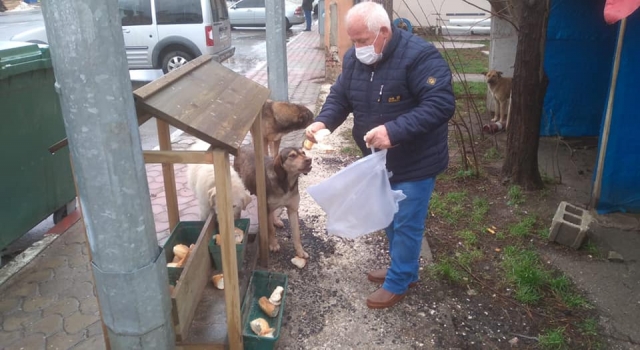 Kırklareli’nden kısa kısa