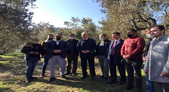 İYİ Partili Tatlıoğlu, Bursa’da ağaçlarında zarar oluşan zeytin üreticileriyle bir araya geldi