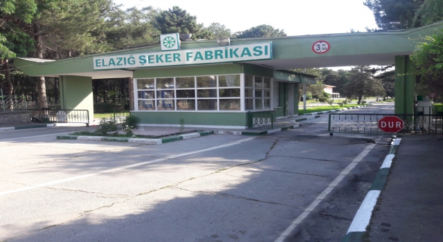 Türkşeker Susurluk ve Elazığ fabrikaları şeker üretiminde zirveyi gördü