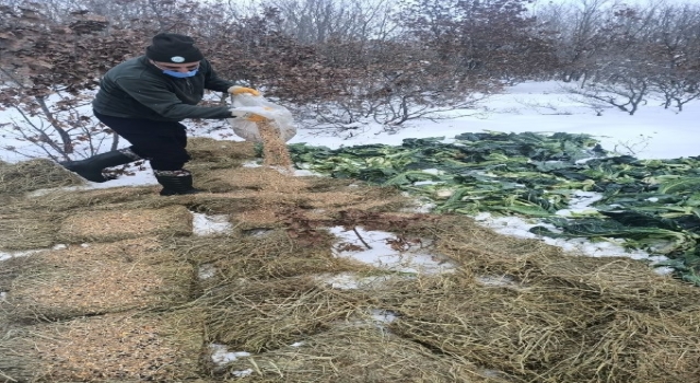 Tekirdağ’da yaban hayvanları için doğaya 1,5 ton yem bırakıldı