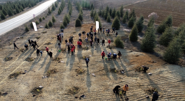 Bilecik’te ’’Mercan Hatıra Ormanı’’ oluşturuldu