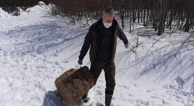 Trakya’da yaban hayvanları için doğaya 16 ton 595 kilogram yem bırakıldı