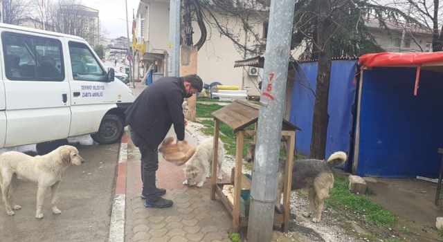 Kırklareli’nden kısa kısa