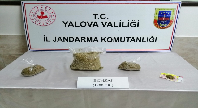 Yalova’da otobüs yolcusuna ait valizde 1 kilo 200 gram sentetik uyuşturucu ele geçirildi