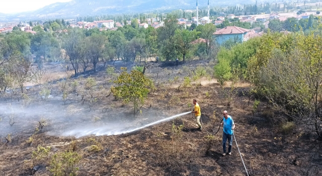 Gölpazarı’nda çıkan yangında 10 dönüm alan zarar gördü