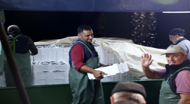 Karadeniz’de hamsi bereketi yaşanıyor