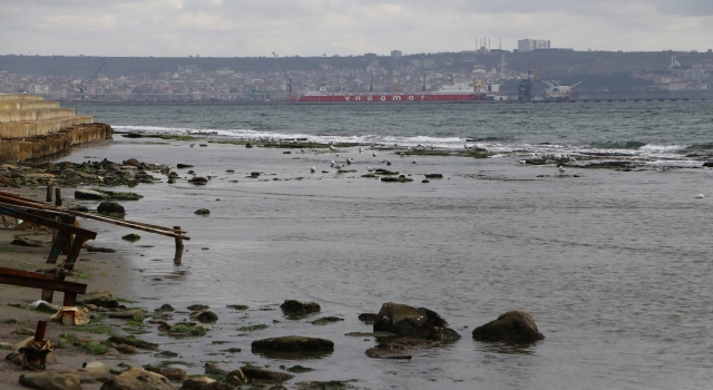 Tekirdağ’da kıyılarda deniz suyu çekildi