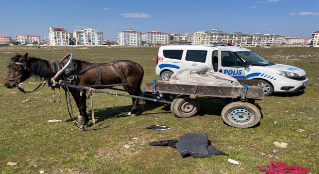 Kırklareli’nde polisin kovaladığı iki hırsızlık zanlısı at arabasını bırakıp kaçtı