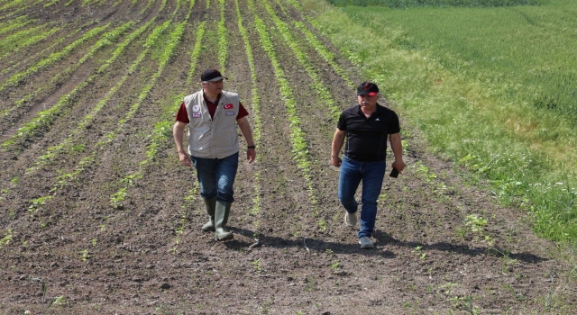 Edirne’den kısa kısa 