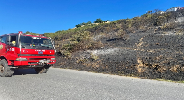 Kartal’da ağaçlık alanda yangın çıktı 