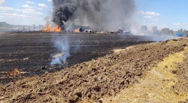 Tekirdağ’da çıkan yangında saman balyaları yandı