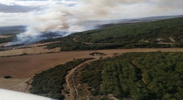 Çanakkale’de çıkan orman yangınına müdahale ediliyor