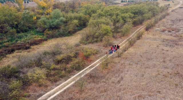 Edirne’deki Balkan Arboretumu, Trakya’ya özgü ağaç çeşitliliğini ziyaretçilerine sunuyor