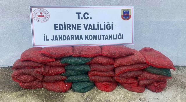 Edirne’de 1 ton kum midyesi ile yakalanan 2 kişiye 297 bin lira ceza 