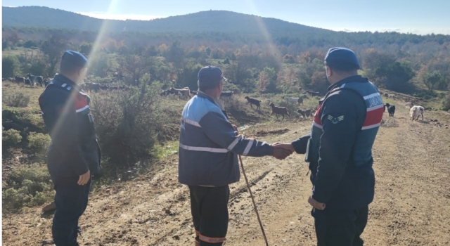 Yalova’da kayıp 400 küçükbaş hayvanı jandarma buldu