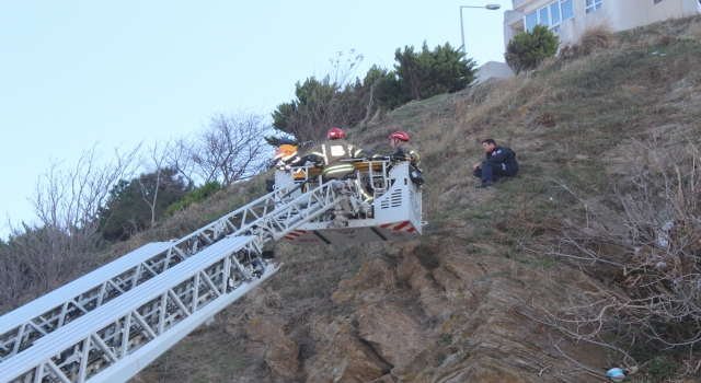 Balıkesir’de uçurumdan düşerek ağaca takılan genç kız hastaneye kaldırıldı