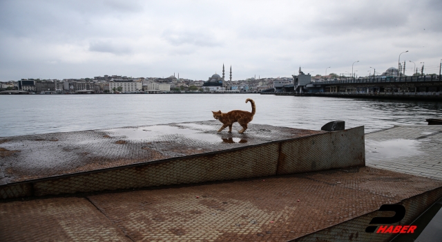 İstanbul'da hafta içi sakin geçiyor