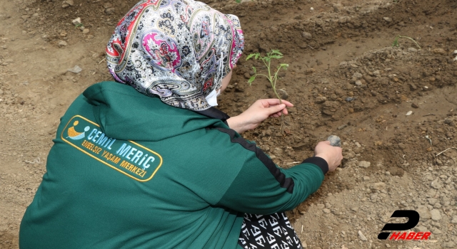 Kocaeli'de "özel" öğrencilerin yetiştirdiği organik ürünler ihtiyaç sahiplerine dağıtılacak