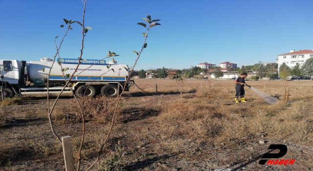 Tekirdağ'dan kısa kısa