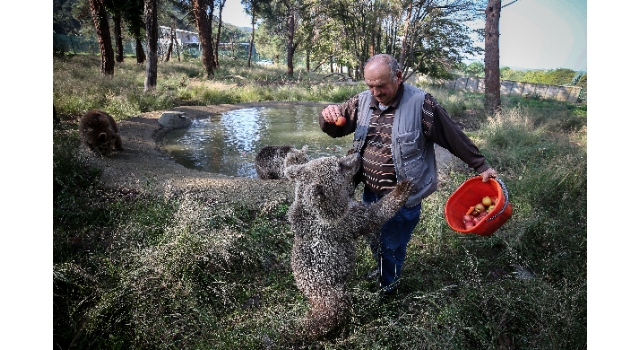 Yavru boz ayılar Ovakorusu’nun maskotu oldu