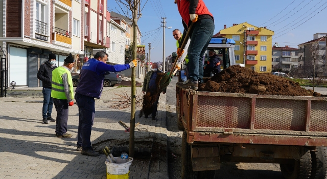 Tekirdağ’dan kısa kısa