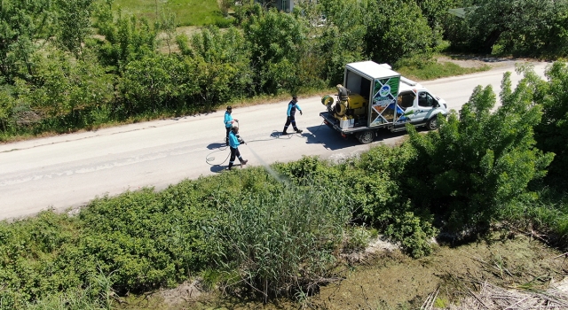 Sakarya Büyükşehir, zararlılarla mücadele çalışmalarını sürdürüyor