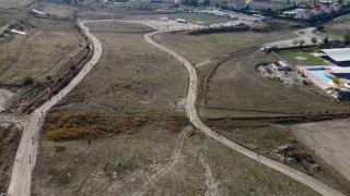 Türkiye Kros Şampiyonası, Denizli’de yapıldı 