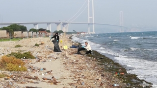 Hersek plajında ”Kirlilik İzleme Programı” gerçekleştiriliyor 