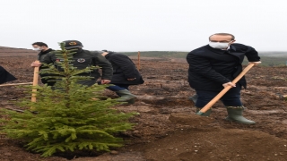 Batı Karadeniz ve Doğu Marmara’da ”Milli Ağaçlandırma Günü” etkinlikleri düzenlendi