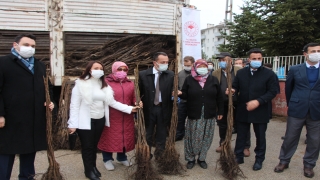 Pazaryeri’nde çiftçilere ceviz fidanı dağıtıldı