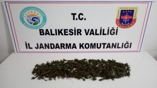 Balıkesir’de uyuşturucu operasyonunda 2 gözaltı