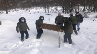 Kocaeli’de yaban hayvanları için doğaya yem bırakıldı