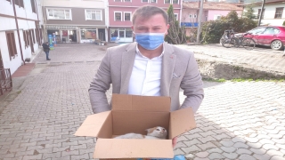 Taraklı’da yaralı halde bulunan kedi ve köpeğe belediye sahip çıktı