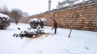 Soğuk havanın etkili olduğu Edirne’de sokak hayvanları unutulmadı