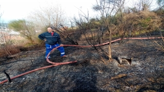 Yalova’da makilik alanda çıkan yangın söndürüldü