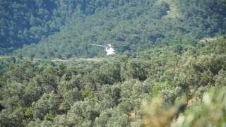 GÜNCELLEME Balıkesir’de çıkan orman yangını söndürüldü