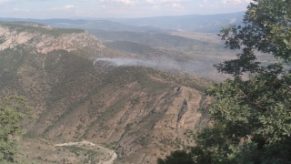 Bilecik’te ormanlık alanda çıkan yangın söndürüldü