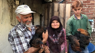 Kocaeli’de yürütülen proje kapsamında üreticilere bu yıl 15 bin ”ataks yarka tavuk” dağıtılacak