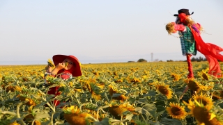 Tekirdağ’da sarıya bürünen ayçiçeği tarlalarında foto safari düzenlendi