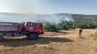 Balıkesir’deki yangında 10 dönüm ağaçlık ve otluk alan zarar gördü