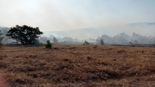 Balıkesir’in Savaştepe ilçesinde orman yangını çıktı