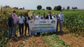 Çanakkale’nin Ezine ilçesinde tarla günü etkinliği düzenlendi