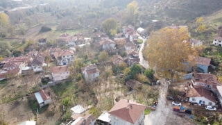 Bilecik’te hasadı süren hurma serada kurutularak sofralara ulaştırılıyor