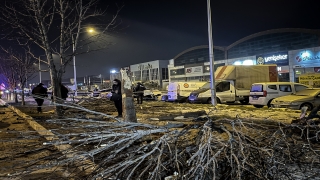 Bursa’da ağaca çarpıp taklalar atan otomobildeki iki kişi öldü