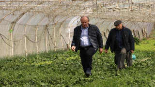 Memleket Partisi Genel Başkanı İnce, Yalova’da açıklamalarda bulundu: