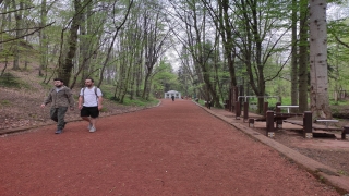 Vatandaşlardan Belgrad Ormanı’na araçla giriş ücretlerine tepki