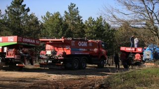 Kırklareli’nde çıkan orman yangını söndürüldü