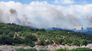 Çanakkale’de zirai alan ve orman yangınlarına müdahale ediliyor